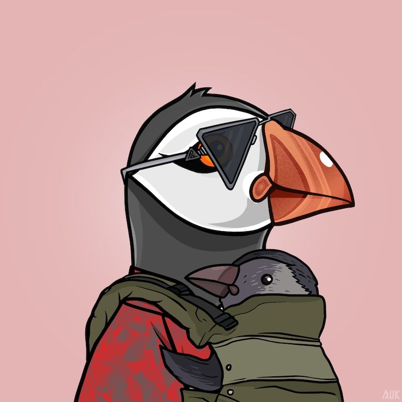 Poppin Puffins #6276